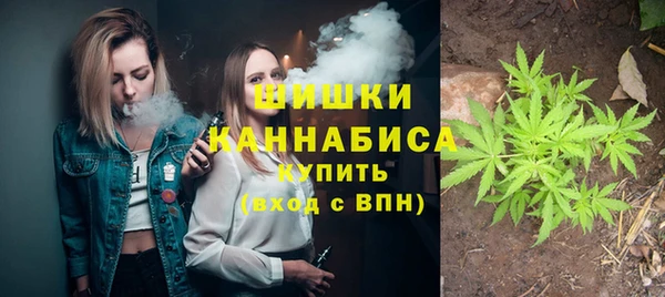 mix Белокуриха